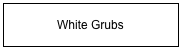 White Grubs