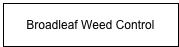 Broadleaf Weed Control